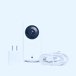 WYZE 1080p Pan/Tilt/Zoom Indoor Wireless Wi-Fi Smart Home Camera Night  Vision 2Way Audio Alexa/Google Ready 32GB Card WYZECP1MSD32 - The Home Depot